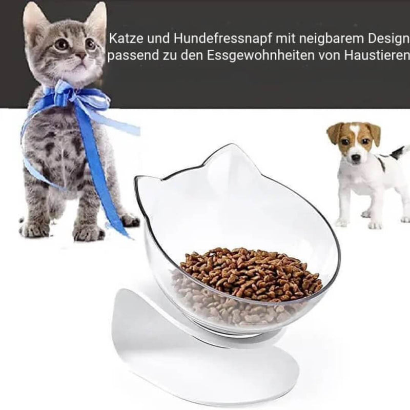 CatDogSchale24 - Orthopädische Hund und Katzenschale, verhindert Erbrechen